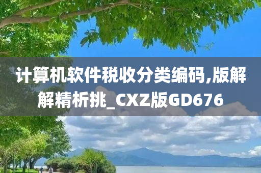 计算机软件税收分类编码,版解解精析挑_CXZ版GD676