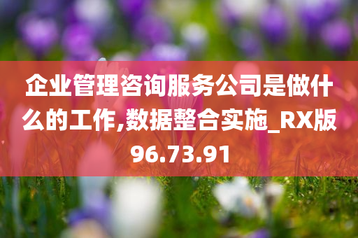 企业管理咨询服务公司是做什么的工作,数据整合实施_RX版96.73.91