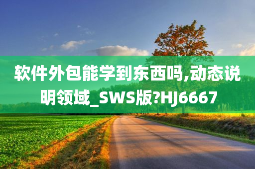 软件外包能学到东西吗,动态说明领域_SWS版?HJ6667