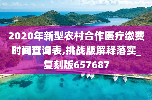 2020年新型农村合作医疗缴费时间查询表,挑战版解释落实_复刻版657687