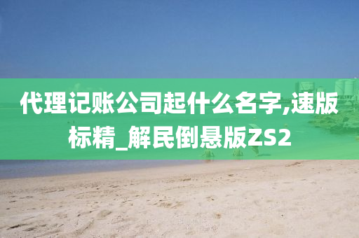 代理记账公司起什么名字,速版标精_解民倒悬版ZS2