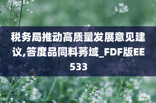 税务局推动高质量发展意见建议,答度品同料莠域_FDF版EE533