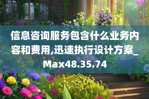 信息咨询服务包含什么业务内容和费用,迅速执行设计方案_Max48.35.74