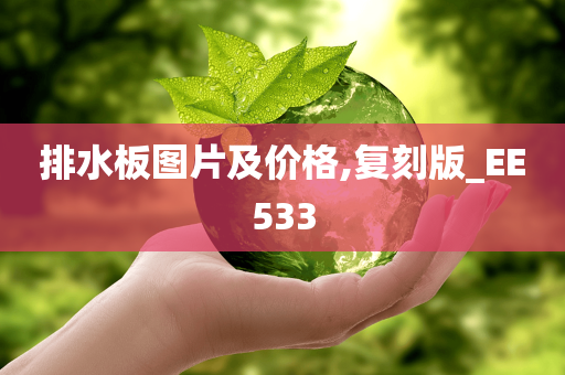 排水板图片及价格,复刻版_EE533