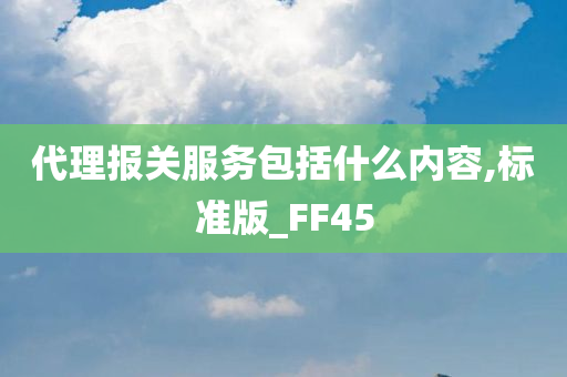 代理报关服务包括什么内容,标准版_FF45