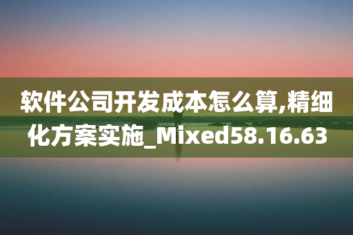 软件公司开发成本怎么算,精细化方案实施_Mixed58.16.63