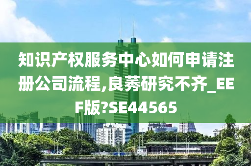 知识产权服务中心如何申请注册公司流程,良莠研究不齐_EEF版?SE44565