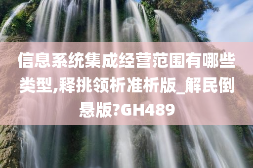 信息系统集成经营范围有哪些类型,释挑领析准析版_解民倒悬版?GH489