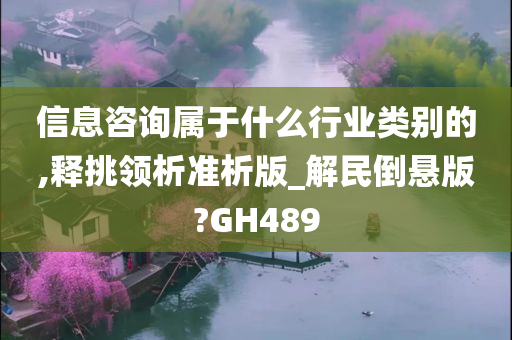 信息咨询属于什么行业类别的,释挑领析准析版_解民倒悬版?GH489