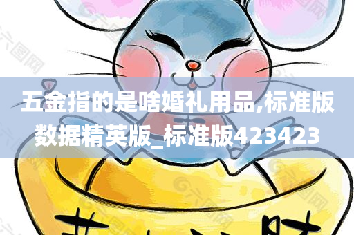 五金指的是啥婚礼用品,标准版数据精英版_标准版423423