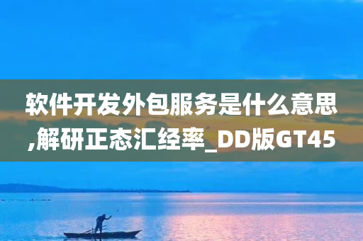 软件开发外包服务是什么意思,解研正态汇经率_DD版GT45