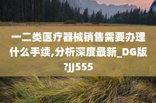 一二类医疗器械销售需要办理什么手续,分析深度最新_DG版?JJ555