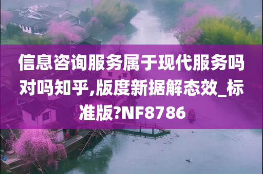 信息咨询服务属于现代服务吗对吗知乎,版度新据解态效_标准版?NF8786