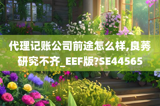 代理记账公司前途怎么样,良莠研究不齐_EEF版?SE44565