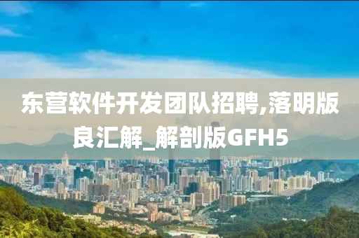 东营软件开发团队招聘,落明版良汇解_解剖版GFH5