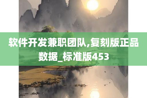 软件开发兼职团队,复刻版正品数据_标准版453