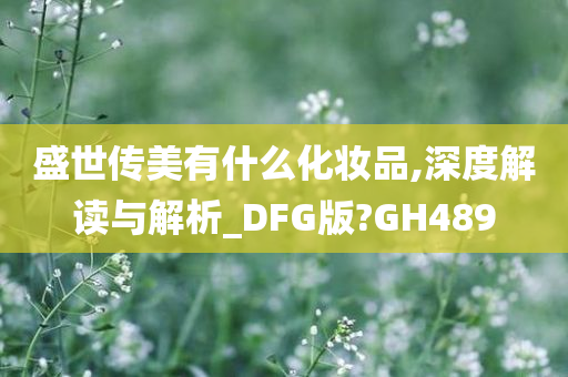 盛世传美有什么化妆品,深度解读与解析_DFG版?GH489