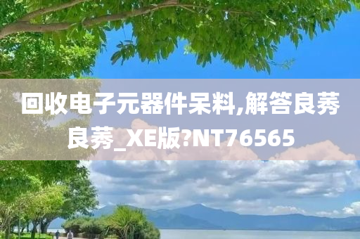 回收电子元器件呆料,解答良莠良莠_XE版?NT76565