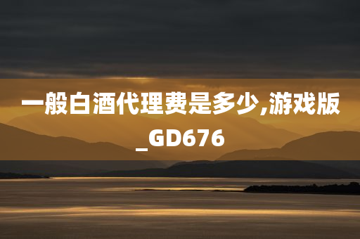 一般白酒代理费是多少,游戏版_GD676