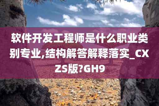 软件开发工程师是什么职业类别专业,结构解答解释落实_CXZS版?GH9