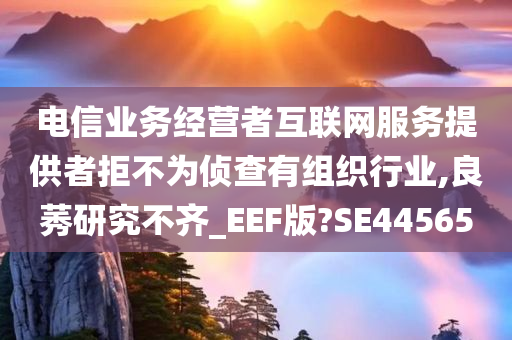 电信业务经营者互联网服务提供者拒不为侦查有组织行业,良莠研究不齐_EEF版?SE44565