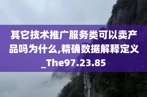 其它技术推广服务类可以卖产品吗为什么,精确数据解释定义_The97.23.85