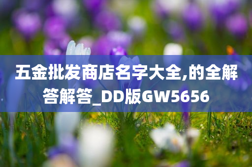 五金批发商店名字大全,的全解答解答_DD版GW5656