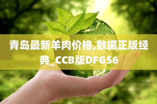 青岛最新羊肉价格,数据正版经典_CCB版DFG56