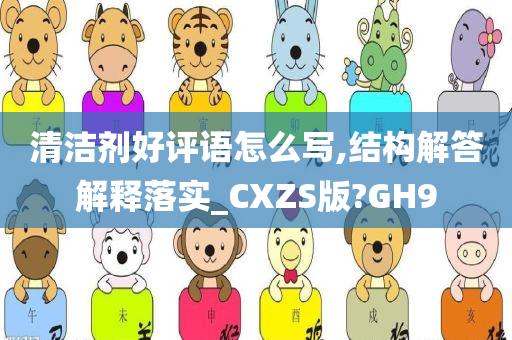 清洁剂好评语怎么写,结构解答解释落实_CXZS版?GH9