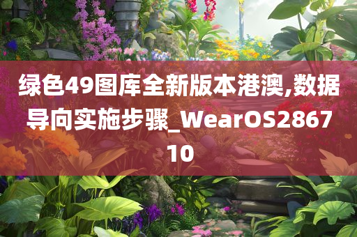 绿色49图库全新版本港澳,数据导向实施步骤_WearOS286710