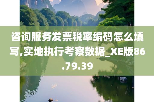 咨询服务发票税率编码怎么填写,实地执行考察数据_XE版86.79.39