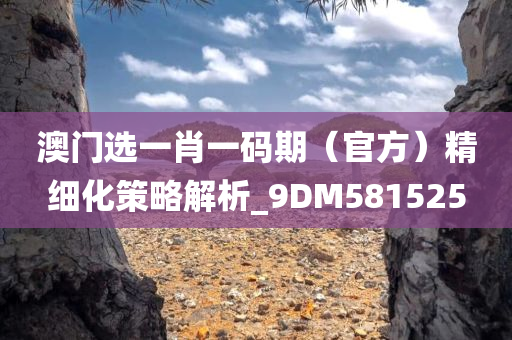 澳门选一肖一码期（官方）精细化策略解析_9DM581525