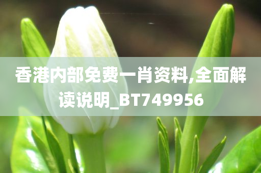 香港内部免费一肖资料,全面解读说明_BT749956