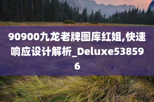 90900九龙老牌图库红姐,快速响应设计解析_Deluxe538596