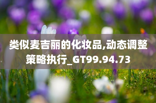 类似麦吉丽的化妆品,动态调整策略执行_GT99.94.73