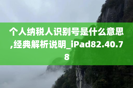 个人纳税人识别号是什么意思,经典解析说明_iPad82.40.78