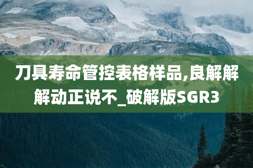 刀具寿命管控表格样品,良解解解动正说不_破解版SGR3