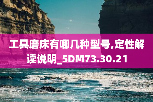 工具磨床有哪几种型号,定性解读说明_5DM73.30.21