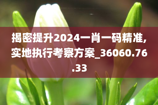 揭密提升2024一肖一码精准,实地执行考察方案_36060.76.33