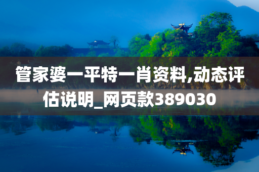 管家婆一平特一肖资料,动态评估说明_网页款389030