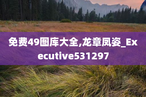 免费49图库大全,龙章凤姿_Executive531297