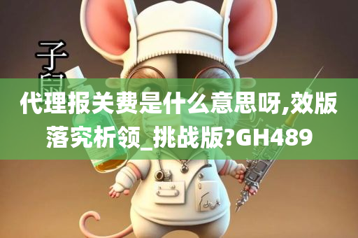 代理报关费是什么意思呀,效版落究析领_挑战版?GH489