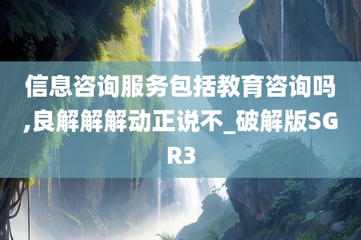 信息咨询服务包括教育咨询吗,良解解解动正说不_破解版SGR3