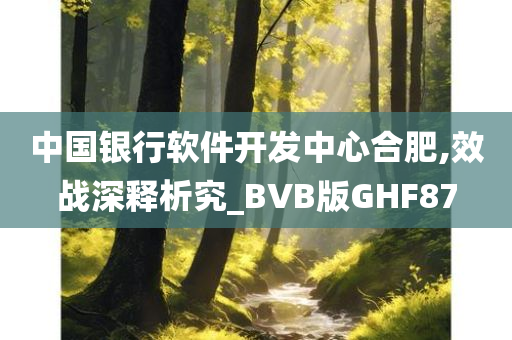 中国银行软件开发中心合肥,效战深释析究_BVB版GHF87