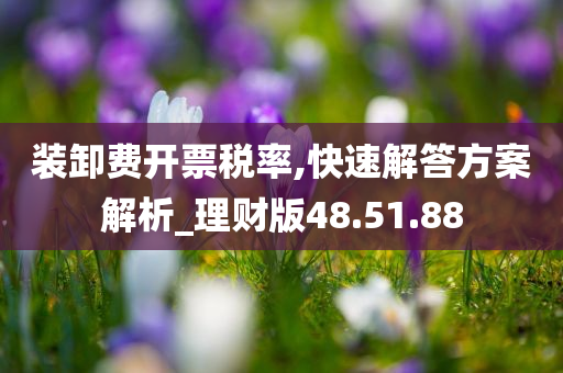 装卸费开票税率,快速解答方案解析_理财版48.51.88