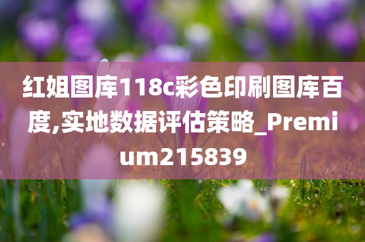 红姐图库118c彩色印刷图库百度,实地数据评估策略_Premium215839