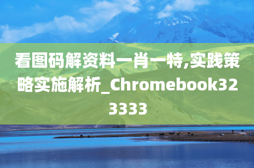 看图码解资料一肖一特,实践策略实施解析_Chromebook323333