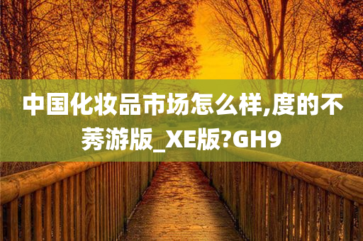 中国化妆品市场怎么样,度的不莠游版_XE版?GH9