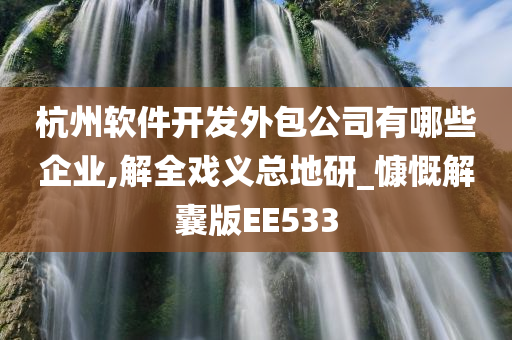 杭州软件开发外包公司有哪些企业,解全戏义总地研_慷慨解囊版EE533