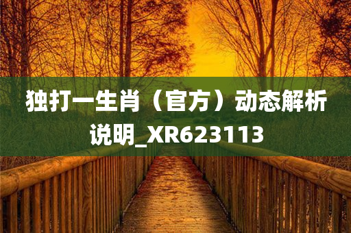 独打一生肖（官方）动态解析说明_XR623113